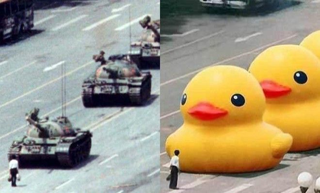 tank ducks