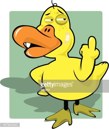 1734921-ugly-duck